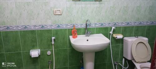 乌姆盖斯Baiet AL-Deafah Guest house的绿色瓷砖浴室设有水槽和卫生间