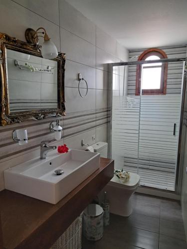 玛利亚Stella Apartments Malia的一间带水槽、卫生间和镜子的浴室