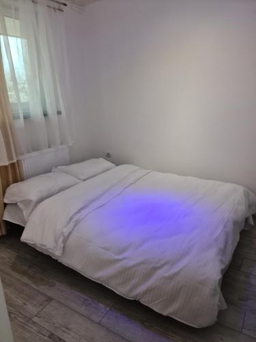 奥拉迪亚APARTAMENT IN CENTRU的卧室配有白色床和紫色棉被