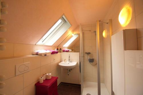 拉策堡Haus Maria的一间带水槽和淋浴及窗户的浴室