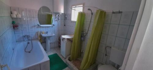 里梅泰亚Kerekes Vendégház的带淋浴和盥洗盆的浴室