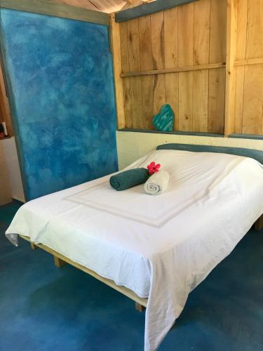 Puerto SoleyCabañas Casa Soley的床上有2个枕头