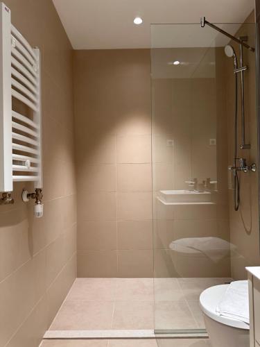 贝尔格莱德Apartman Grand BW的带淋浴、卫生间和盥洗盆的浴室