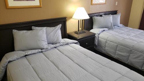 米德兰米德兰西德克萨斯套房酒店的酒店客房,设有两张床和一盏灯