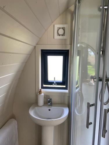基尔代尔Kildare countryside pods的一间带水槽和淋浴的小浴室