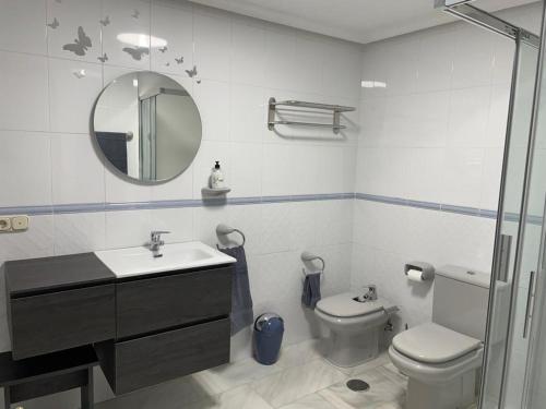 阿维拉El sitio de mi recreo Ávila的一间带卫生间、水槽和镜子的浴室
