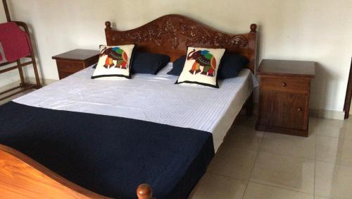 本托塔Tranquil Private Villa near Bentota Beach的一间卧室配有一张大床和两个枕头