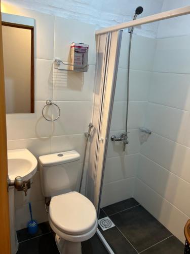 派桑杜Apart del Este Loft 6的一间带卫生间和淋浴的小浴室