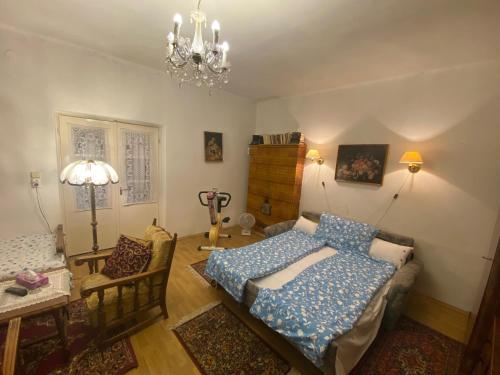 韦切什Grany's Retro Guesthouse near Budapest AirPort的一间卧室配有一张床、一张桌子和一个吊灯。