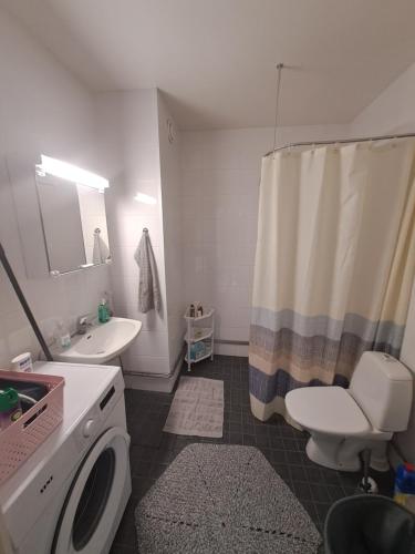 罗瓦涅米Room in Polar Circle的浴室设有盥洗盆、卫生间和淋浴帘。