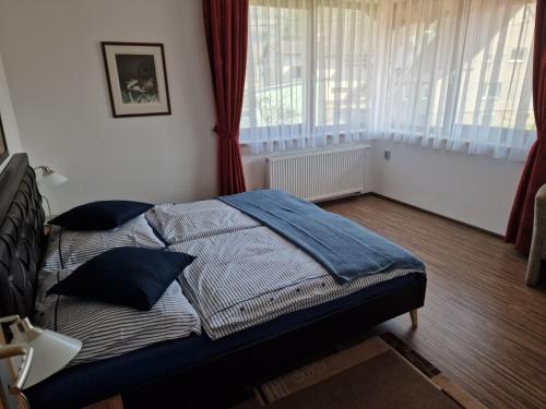 MalenoviceUbytování Pod Borovou的一间卧室配有一张带蓝色床单的床和一扇窗户。