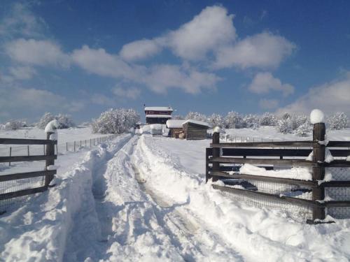 AmfithéaΞυλόσπιτο στη Στενή的围栏旁的雪覆盖的栅栏