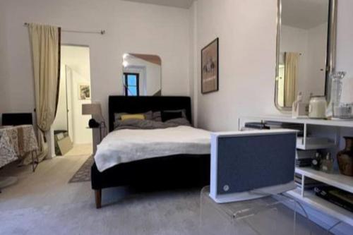林茨Exclusive apartement in historic center的一间卧室配有一张床和一台电视。
