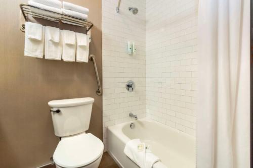 Saanichton摇摆狗品质酒店的浴室设有卫生间、浴缸和淋浴帘。
