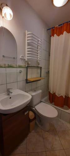 MizernaU Wojtaszka的浴室配有卫生间、盥洗盆和淋浴。