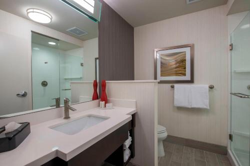 哥伦布哥伦布万怡酒店的一间带水槽、卫生间和镜子的浴室