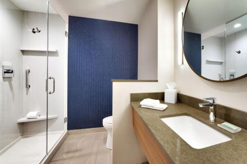 LaurelFairfield by Marriott Inn & Suites Laurel的一间带水槽和镜子的浴室