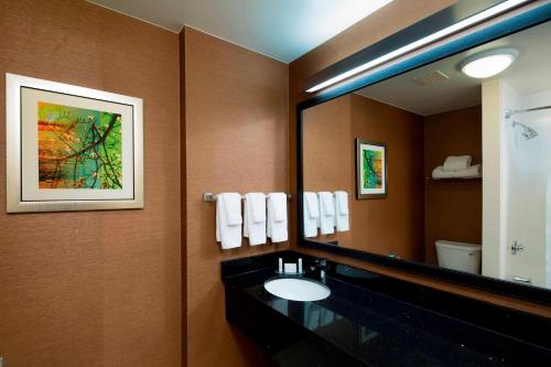 纽瓦克纽瓦克自由国际机场万豪费尔菲尔德套房酒店的一间带水槽和大镜子的浴室