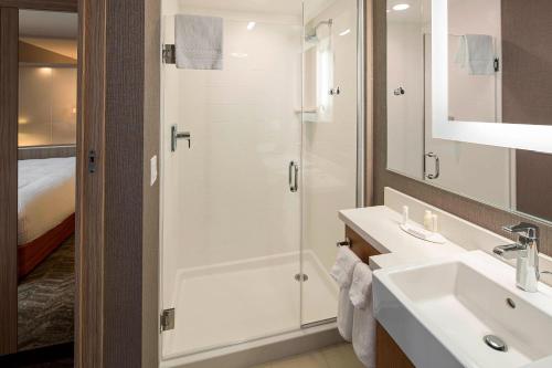 卡利斯佩尔SpringHill Suites by Marriott Kalispell的带淋浴和盥洗盆的浴室