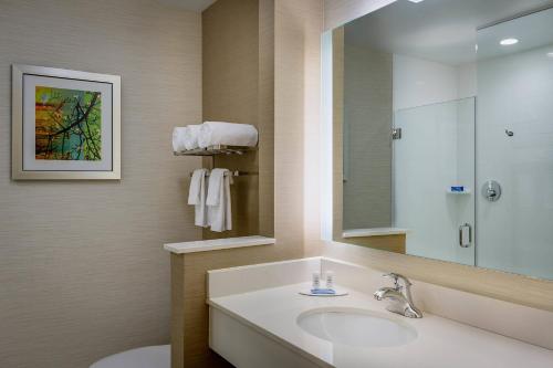 达拉斯Fairfield Inn & Suites by Marriott Dallas West/I-30的一间带水槽和镜子的浴室