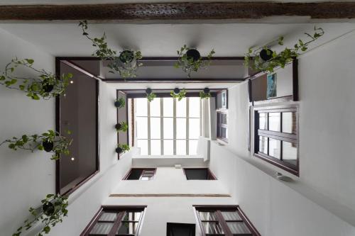 瓦伦西亚菲特乌普旅馆青年旅舍的空的走廊,有窗户和盆栽植物
