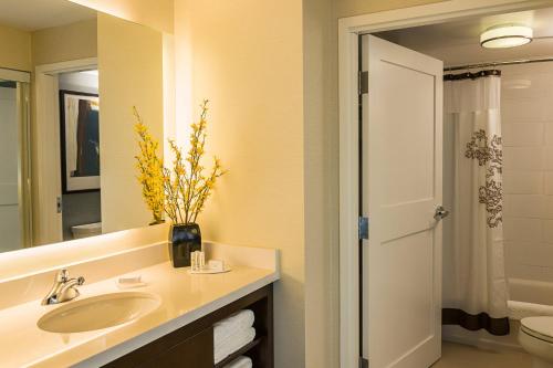 渥太华万豪渥太华机场原住客栈的一间带水槽、卫生间和镜子的浴室