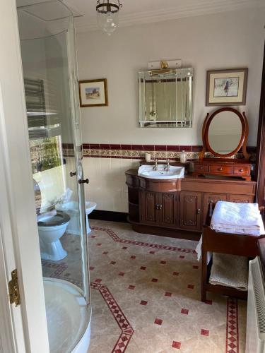 新罗斯Victorian Villa的带淋浴、盥洗盆和卫生间的浴室