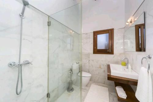 卡拉莫若尔Villa Amor的带淋浴、卫生间和盥洗盆的浴室