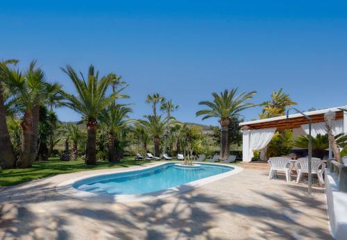 伊维萨镇CAN TEO - Holiday Villa in Ibiza的棕榈树庭院内的游泳池