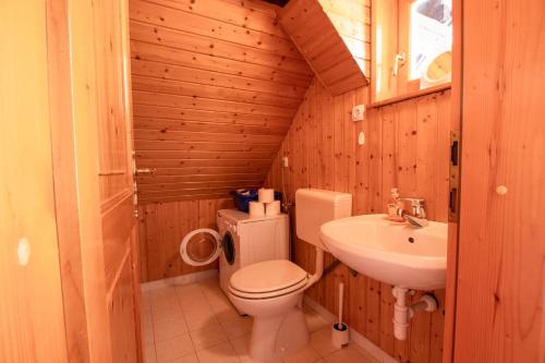 班斯卡比斯特里察River Valley View House的一间带卫生间和水槽的小浴室