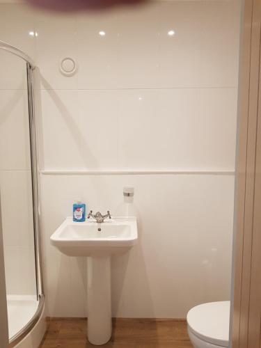 利明顿The New Forest Manor Apartment的白色的浴室设有水槽和卫生间。