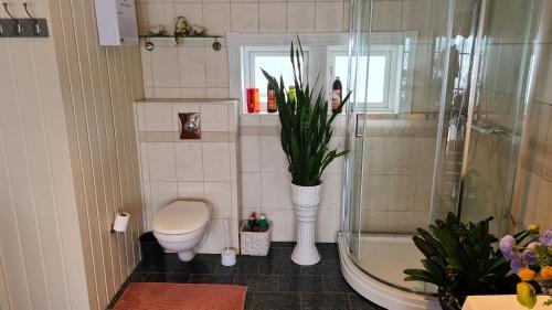 拉尔维克Verningen Apartment的浴室设有卫生间和植物淋浴。