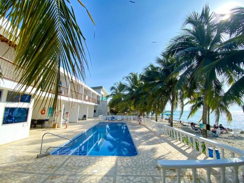 托卢科斯塔琳达酒店的棕榈树海滩旁的游泳池