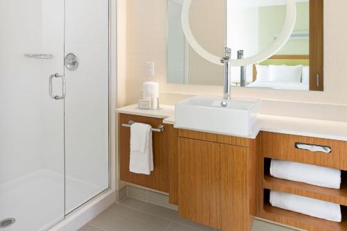 兰霍恩万豪费城兰霍恩斯普林希尔套房酒店的一间带水槽和淋浴的浴室