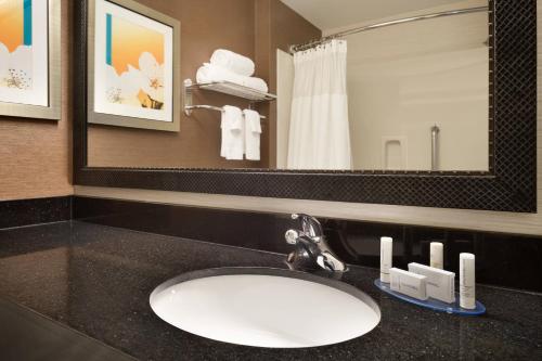 布卢明顿明尼阿波利斯布卢明顿/美国商场费尔菲尔德客栈酒店的一间带水槽和镜子的浴室