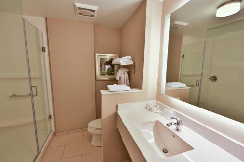 萨凡纳Fairfield Inn & Suites by Marriott Savannah Midtown的一间带水槽、卫生间和镜子的浴室