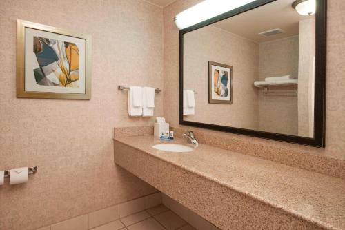 埃尔森特罗菲尔福德旅馆&埃尔森特罗套房酒店的一间带水槽和镜子的浴室