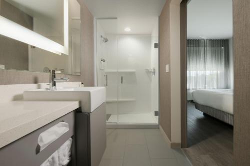 LindaleSpringHill Suites by Marriott Lindale的白色的浴室设有水槽和淋浴。