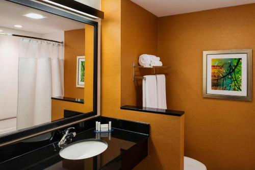 温尼伯Fairfield Inn & Suites by Marriott Winnipeg的一间带水槽和镜子的浴室