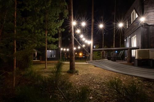 ReiuReiu Holiday Home的公园的吊床(夜间带灯)