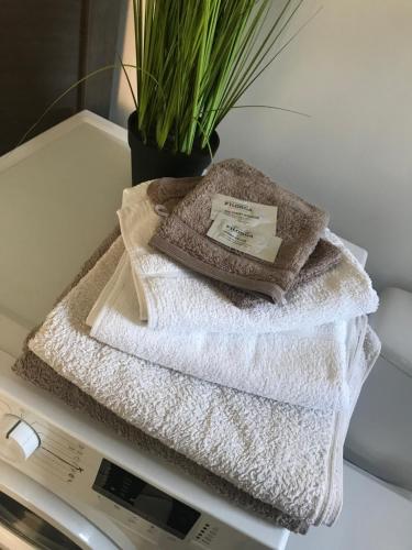 Tilléresidence julius aéroport tillé classé 3 étoiles的洗衣机上堆着的毛巾
