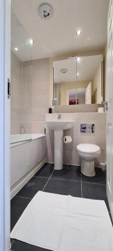 Wishart Drive的一间带水槽、卫生间和镜子的浴室