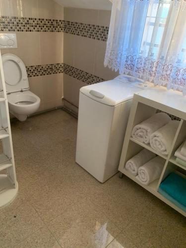 德朗西Appartement en zone pavillonnaire的一间带卫生间和水槽的小浴室