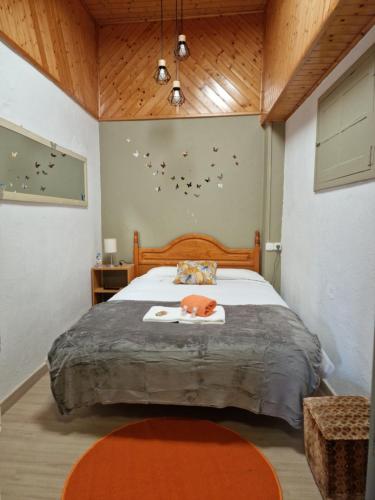 欧德鲁佐Pensión O Muiño的一间卧室配有一张大床和木制床头板