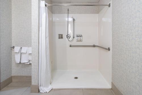 Swansea斯温西智选假日套房酒店的带淋浴和浴帘的浴室