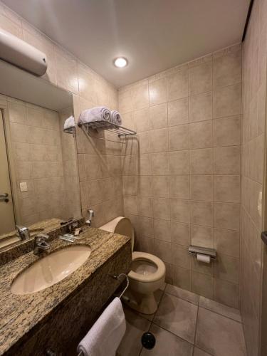 圣保罗HOTEL PERDIZES - FLAT Executivo - 1403的一间带水槽、卫生间和镜子的浴室
