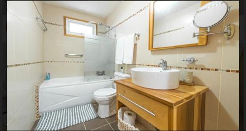 璜多里奥Marbella Juan dolio beach front luxury apartment的一间带水槽、卫生间和镜子的浴室
