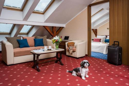 克拉科夫Booking Hotel Crown Piast & Spa的客厅里设有一只狗,坐在地板上