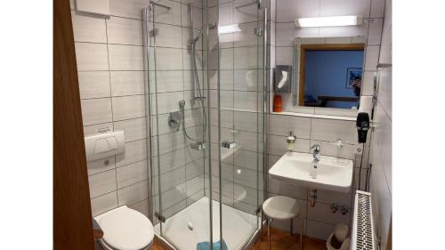 哈斯默斯海姆Hotel Adler mit Gasthaus的带淋浴、卫生间和盥洗盆的浴室