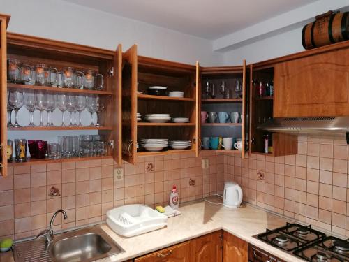 米库洛夫Ubytování Na Špacíru的厨房配有木制橱柜和带水槽的台面